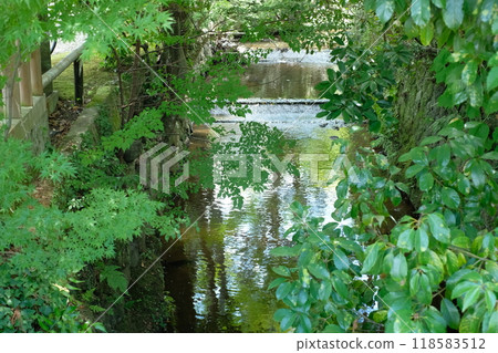 Landscape with stream and greenery Landscape with stream and greenery 118583512