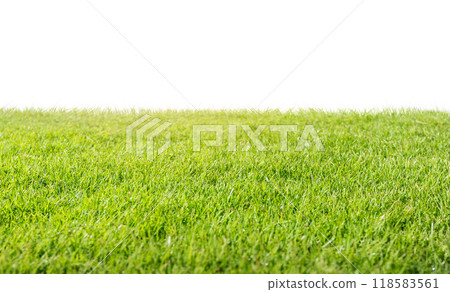 Green grass field isolated on white background, for montage product display. 118583561