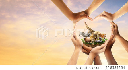 Wildlife Conservation Day. wildlife protection, multiracial human come to build hands in shape of heart to protect the environment. promote conservation wildlife. sunset evening sky background. 118583564