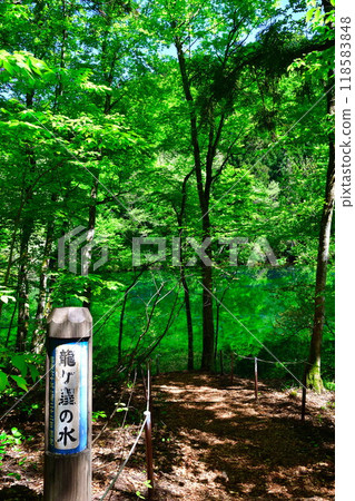 龍久保(新潟縣) 龍久保(新潟縣) 118583848