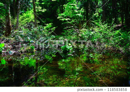 Ryugakura (Niigata Prefecture) Ryugakura (Niigata Prefecture) 118583858