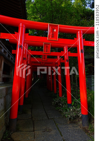 Shirasa Inari shrine Shirasa Inari shrine 118583952