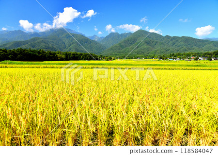 View of Mt. Kaikoma from Hakushu Town (Hokuto City, Yamanashi Prefecture) [September 2024] 118584047
