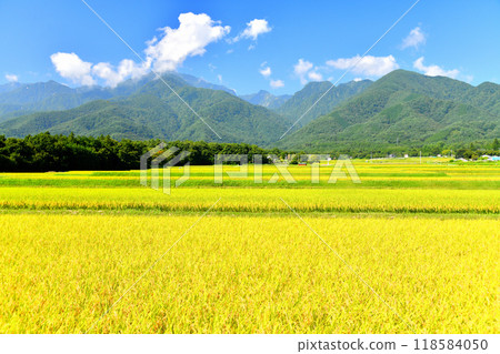 從白州町（山梨縣北斗市）眺望貝駒岳 [2024.9] 118584050