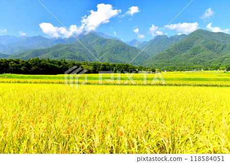 View of Mt. Kaikoma from Hakushu Town (Hokuto City, Yamanashi Prefecture) [September 2024] 118584051