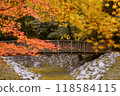 秋葉和橋 118584115