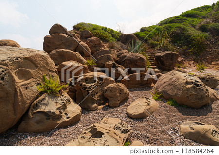 Weathered Coastal Rock Formation with Lush Vegetation 118584264