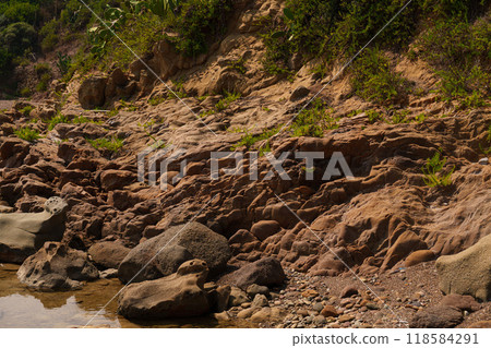 Rocky Slope with Vegetation and Pebbles by the Seaside 118584291