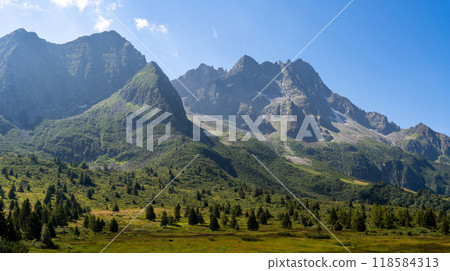 Majestic Mountain Range with Verdant Meadows and Pine Forest 118584313