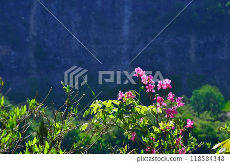 Tsunanmidama Park (Niigata Prefecture) Tsunanmidama Park (Niigata Prefecture) 118584348