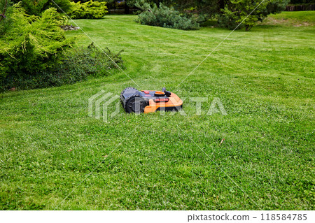 An orange lawn mower robot mows the grass on the green lawn of the park 118584785