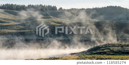 Hayden Valley Yellowstone national park 118585274