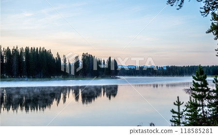 Hayden Valley Yellowstone national park 118585281