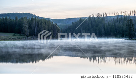 Hayden Valley Yellowstone national park 118585452