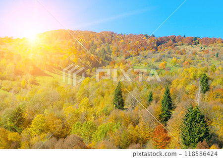 Picturesque autumn landscape with mountain ranges, deciduous forests and blue sky. Carpathian Mountains,  118586424