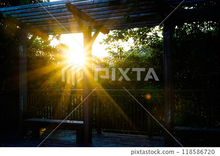 Iron shed bus shelter at dusk Iron shed bus shelter at dusk 118586720