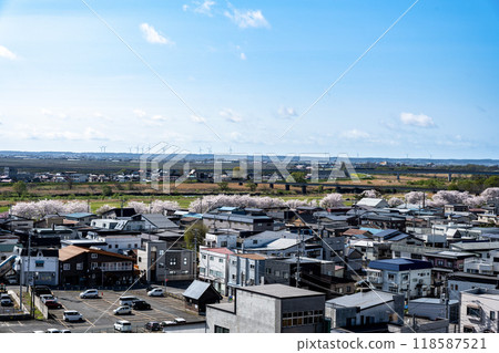 五所川原市的景色,一排櫻花樹/青森縣 五所川原市的景色,一排櫻花樹/青森縣 118587521