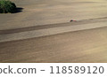 Aerial view of a tractor working on a vast plowed field, preparing the soil for planting 118589120