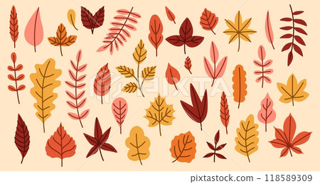 Leaves autumn. Leaf fall season. Red Maple, yellow ginkgo and acorn. Thanksgiving decorative isolated simple elements, motif in November, color foliage of tree, forest nature. Vector background design 118589309