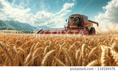 A combine harvester is efficiently working in a vast wheat field A combine harvester is efficiently working in a vast wheat field 118589476