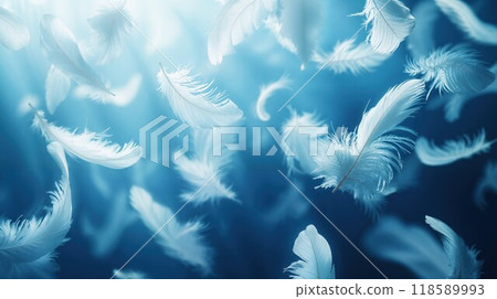 A beautiful bunch of white feathers is gently floating in the air 118589993