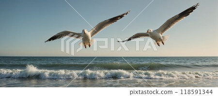 Two seagulls are gracefully flying over a vast body of water 118591344