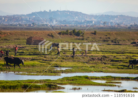cityscape, Tana, capital of Madagascar Poor capital Madagascar. Arial view cityscape, Tana, capital of Madagascar Poor capital Madagascar. Arial view 118591616