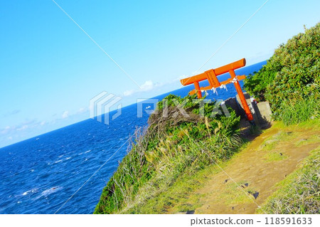 壹岐島左京花風景 壹岐島左京花風景 118591633