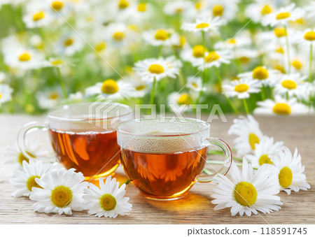 cups of chamomile tea and fresh chamomile flowers on meadow background cups of chamomile tea and fresh chamomile flowers on meadow background 118591745