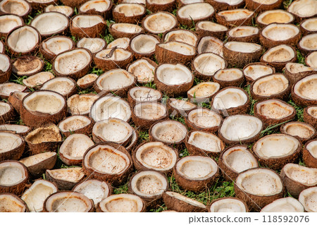 Copra is the dried flesh coconut fruit. 118592076