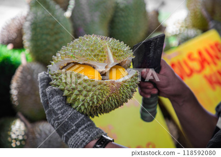 male hands in gloves open ripe durian fruit with a knife male hands in gloves open ripe durian fruit with a knife 118592080