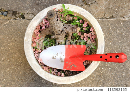 Gardening Gardening 118592165