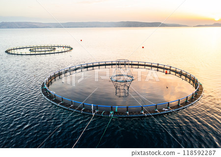 Fish farm structures floating on still water at sunset in a serene lake environment.  118592287
