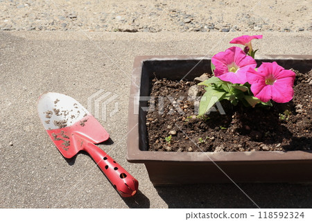 花園搞亂 花園搞亂 118592324