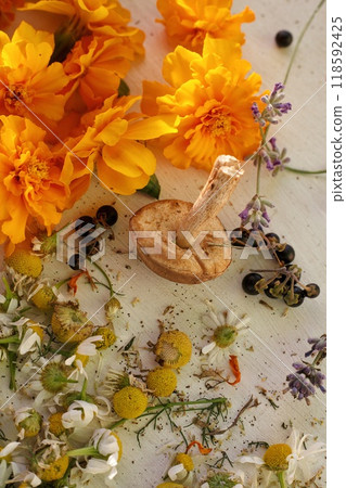Chamomile flowers mushrooms and other herbs are dried on a white outdoor table. Orange flowers and white flowers are dried for brewing into tea. Useful natural ingredients in tea. Beautiful 118592425