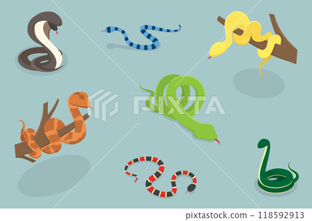 3D Isometric Flat Vector Illustration of Colorful Poisonous Snakes, Vivid Toxic Serpents 118592913