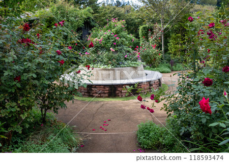 Autumn Rose Garden Area Nakanojo Gardens Autumn Rose Garden Area Nakanojo Gardens 118593474