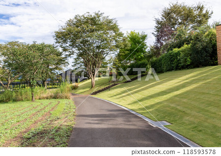 Nakanojo Gardens, Nakanojo Town, Gunma Prefecture 118593578