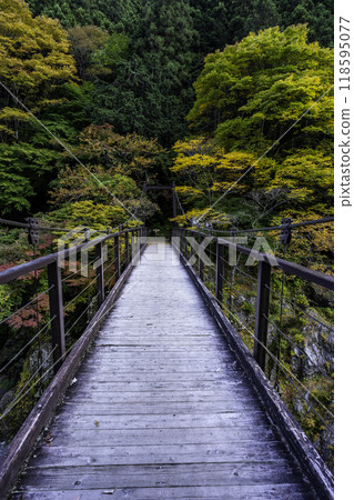 A suspension bridge lit up by autumn leaves A suspension bridge lit up by autumn leaves 118595077