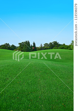 盛夏高爾夫球場，起伏，無人 118596079