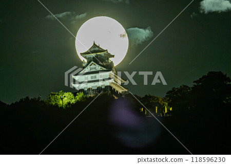 岐阜城與滿月表演 118596230