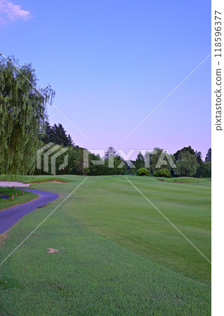 Golf course in midsummer, empty Golf course in midsummer, empty 118596377