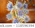 乾花 118596394