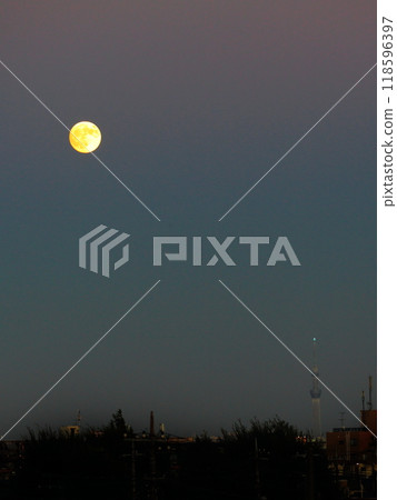城中秋月 118596397