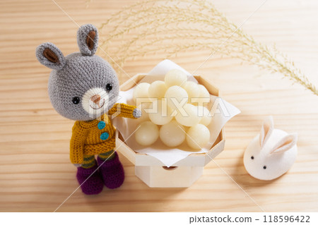 動物阿米古魯米賞月 118596422