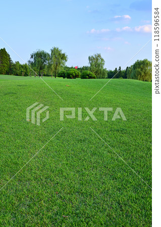 Golf course in midsummer, hilly, no people 118596584
