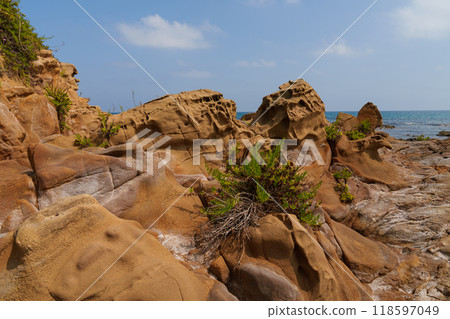 Coastal Rock Formations with Vegetation and Sea View 118597049