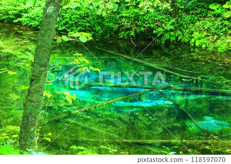 God's Pond God's Pond 118597070