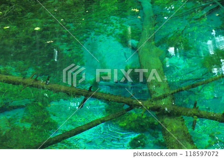 God's Pond 118597072