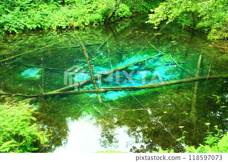 God's Pond 118597073